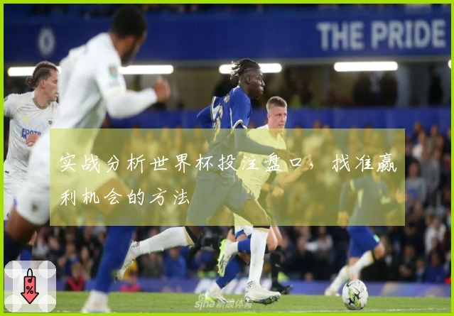 实战分析世界杯投注盘口，找准赢利机会的方法